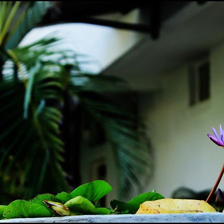 Mount Villa Dehiwala-Mount Lavinia Bagian luar foto